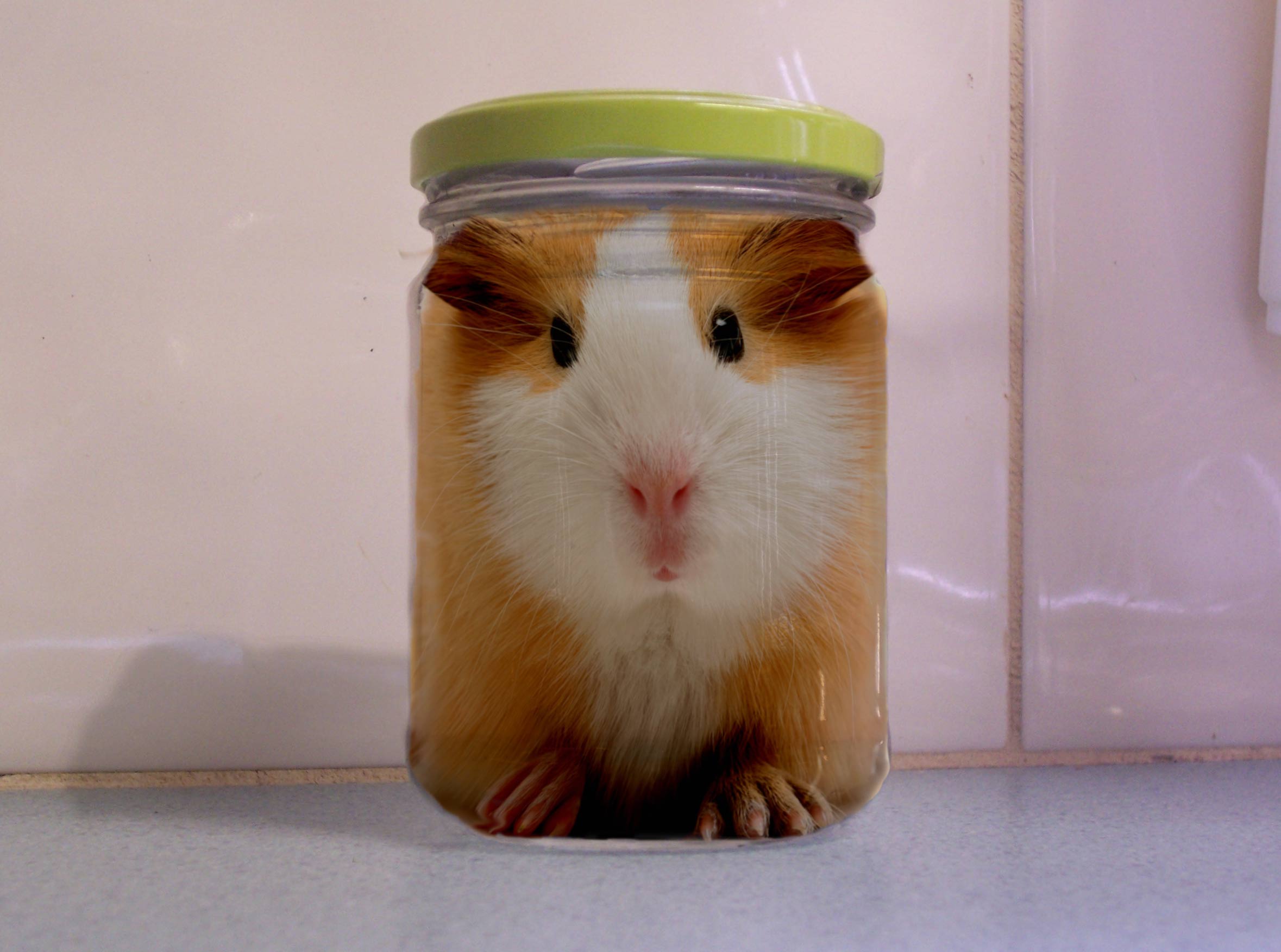 Diseño de Photoshop por Mokey117 para DesignCrowd (Community Contests) | Diseño #9034454