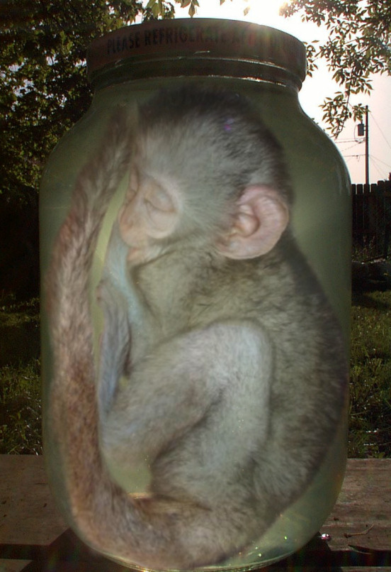 Photoshop-Design von Hobbit90 für DesignCrowd (Community Contests) | Design #9034475