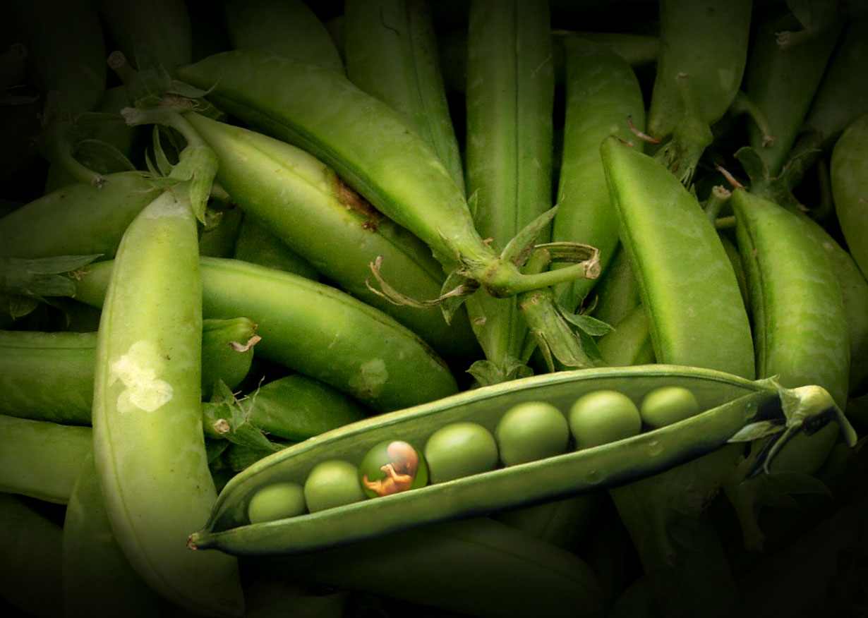 Diseño de Photoshop por vibrantvee para DesignCrowd (Community Contests) | Diseño #9018978