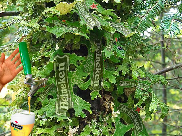 Photoshop Design by theheckler for DesignCrowd (Community Contests) | Design #9018965