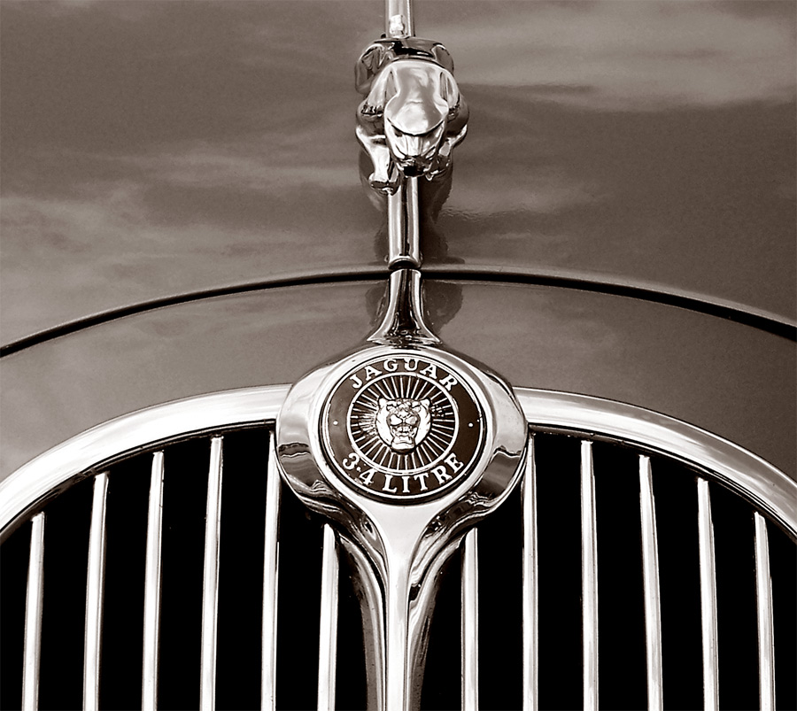 Photography by fatheroftwo for DesignCrowd (Community Contests) | Design #9021216