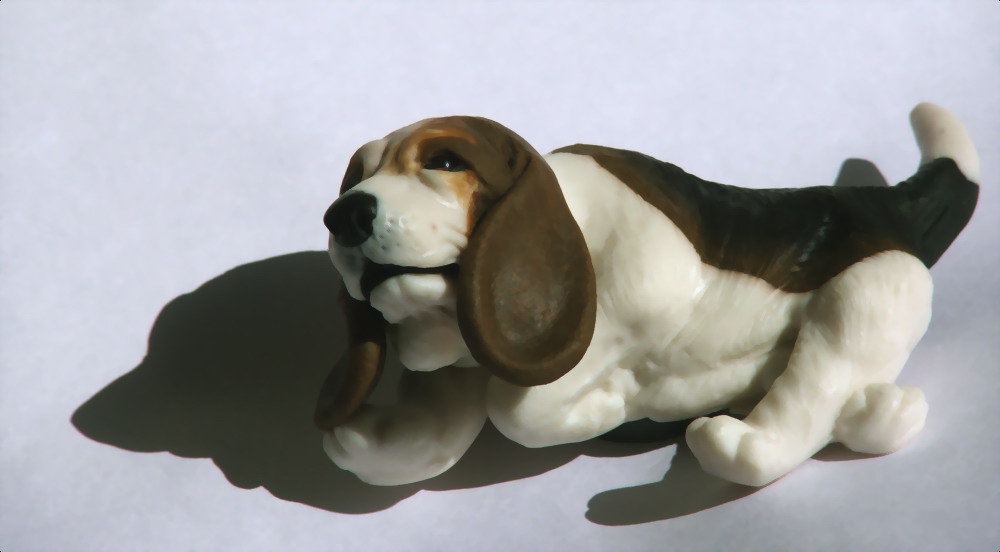 Photographie par DAWARS pour DesignCrowd (Community Contests) | Design #9024356