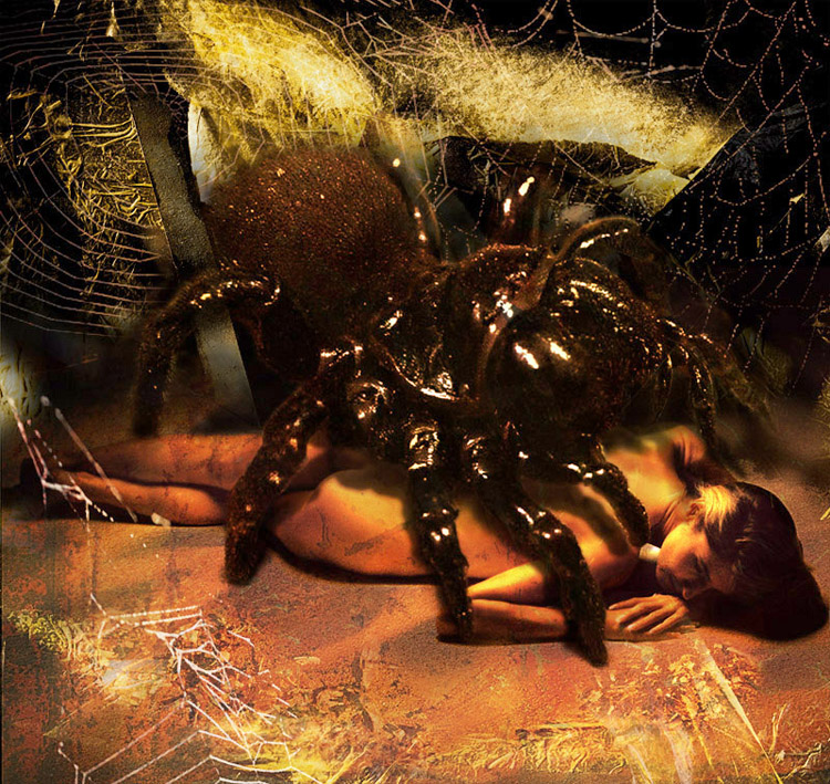 Photoshop Design by somebodyhere for DesignCrowd (Community Contests) | Design #9018536