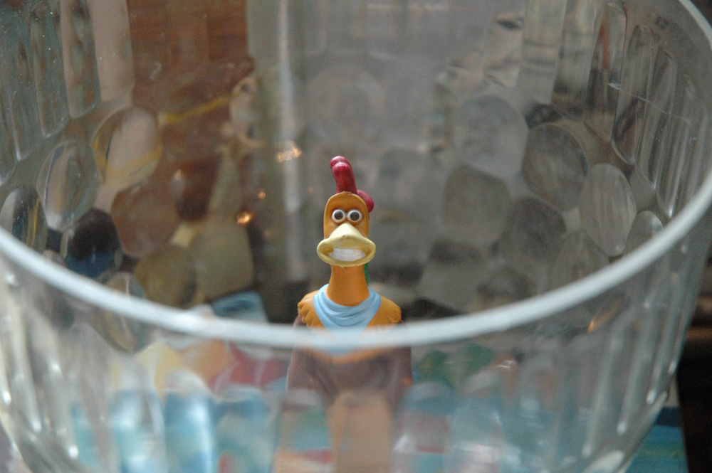 Photography by Larvice for DesignCrowd (Community Contests) | Design #9024394