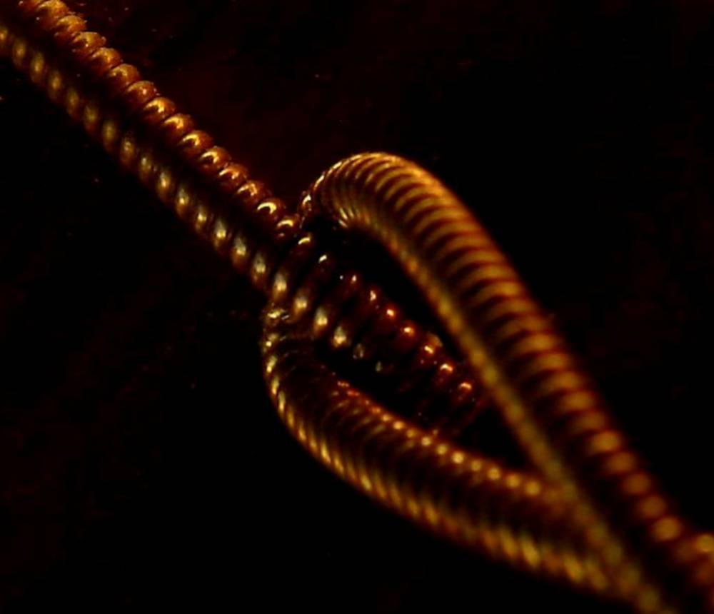 Photographie par Berilu pour DesignCrowd (Community Contests) | Design #9017333