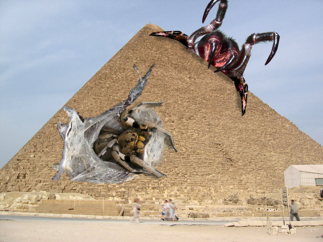 Diseño de Photoshop por damirspanja para DesignCrowd (Community Contests) | Diseño #9018557