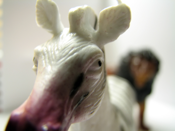 Photography by cstoel for DesignCrowd (Community Contests) | Design #9024391