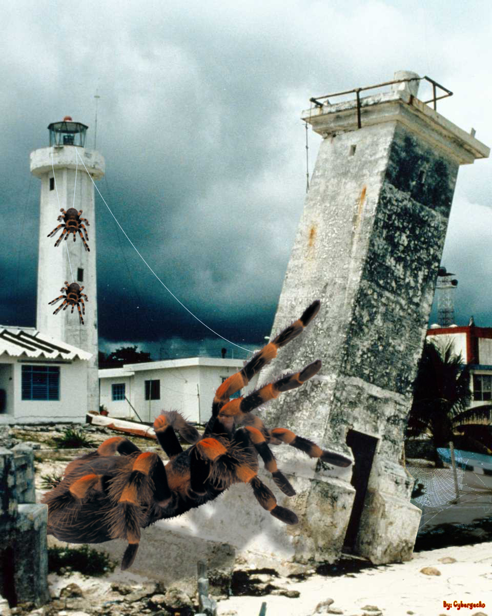 Photoshop Design by cybergecko for DesignCrowd (Community Contests) | Design #9018552