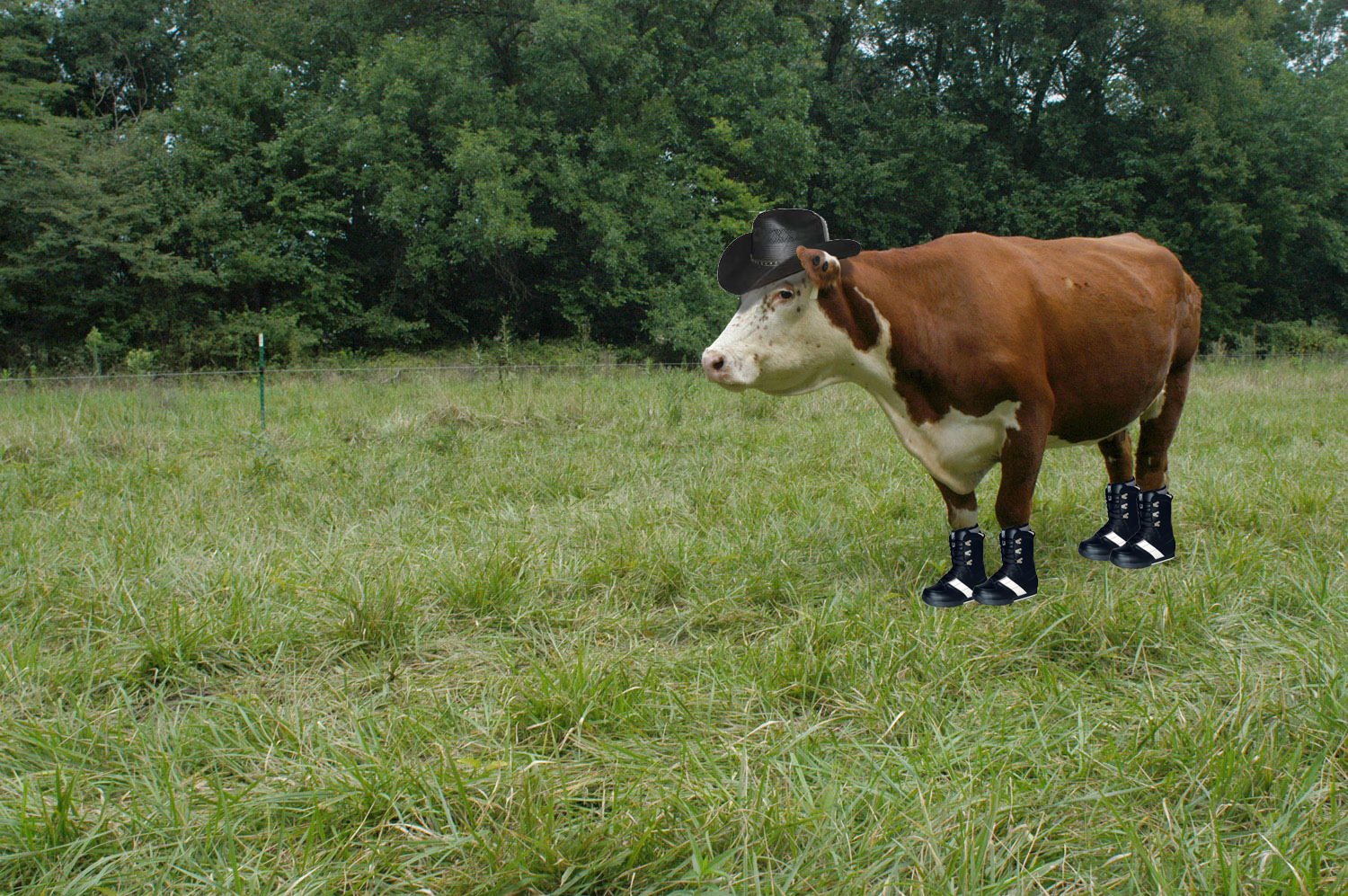 Photoshop Design by sitrop2001 for DesignCrowd (Community Contests) | Design #9032627