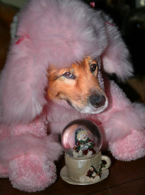 Photoshop-Design von Lacenflanl für DesignCrowd (Community Contests) | Design #9032650