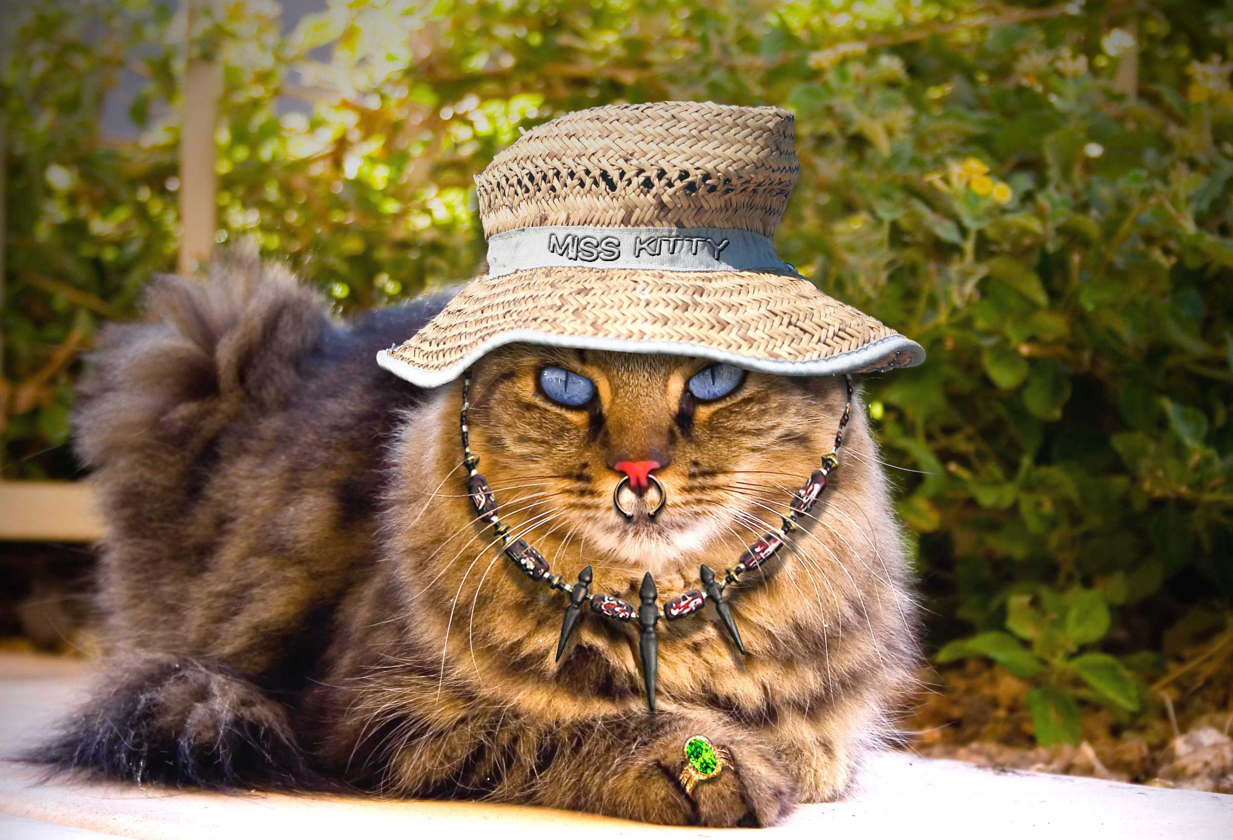 Diseño de Photoshop por RickLaMesa para DesignCrowd (Community Contests) | Diseño #9032655