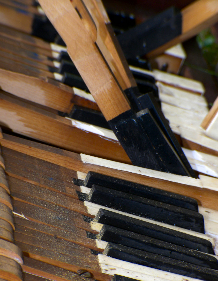 Photography by slimjewel1 for DesignCrowd (Community Contests) | Design #9017331