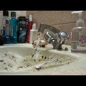 Photoshop Design by spiraleye