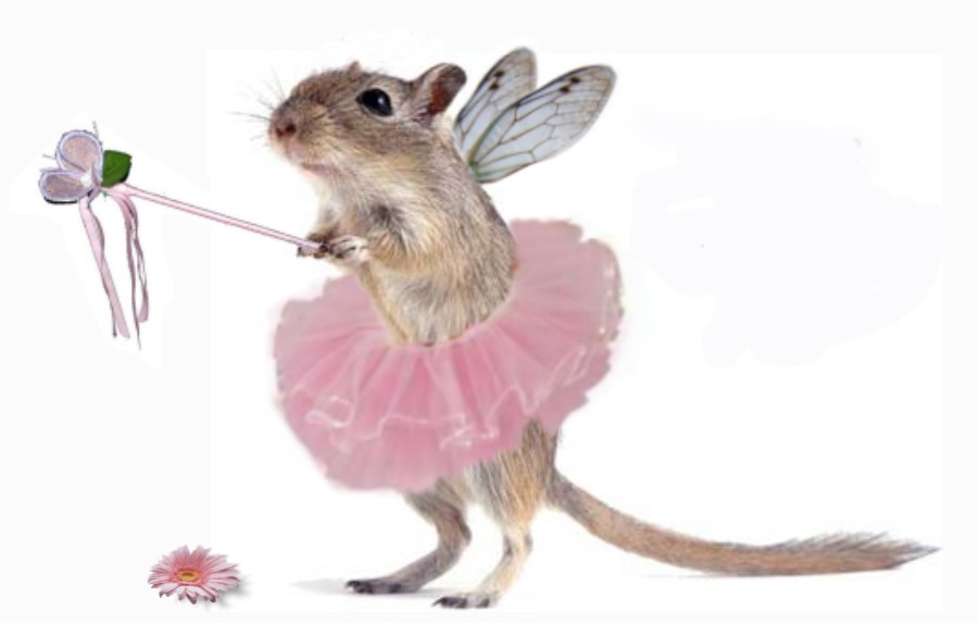 Diseño de Photoshop por Fishwife para DesignCrowd (Community Contests) | Diseño #9032643