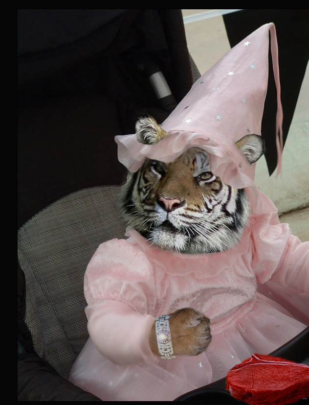 Photoshop-Design von Gypzee für DesignCrowd (Community Contests) | Design #9032673