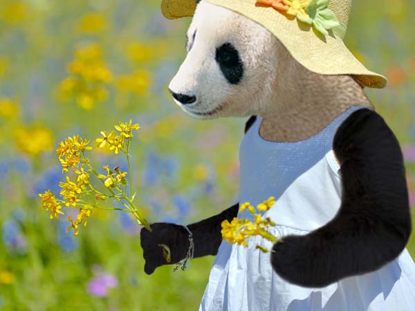 Diseño de Photoshop por atumanubis para DesignCrowd (Community Contests) | Diseño #9032649