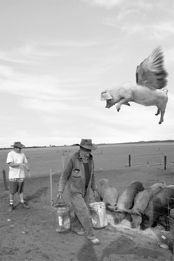 Photoshop Design by foncormapro for DesignCrowd (Community Contests) | Design #9021886