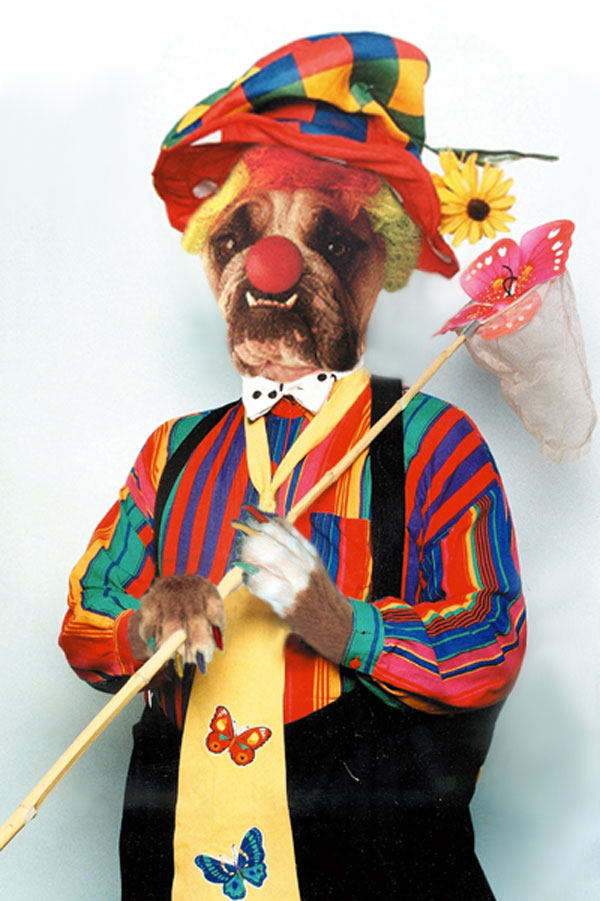 Photoshop Design by DebCam for DesignCrowd (Community Contests) | Design #9032685