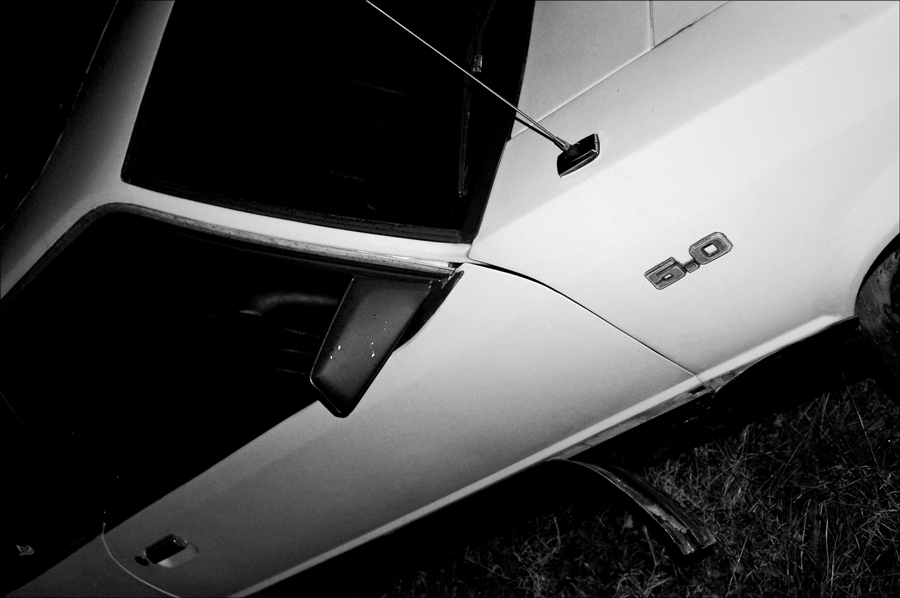 Photography by Sausykat for DesignCrowd (Community Contests) | Design #9021362