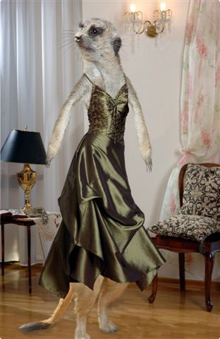 Design Photoshop par BerlinBear pour DesignCrowd (Community Contests) | Design #9032763