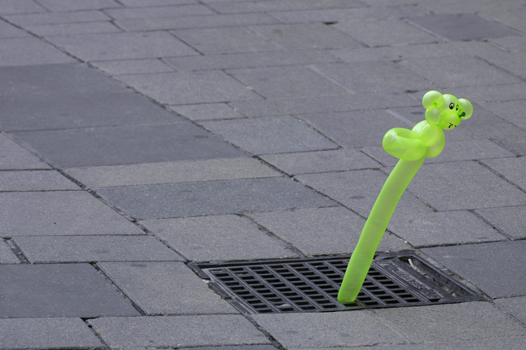 Photography by Choane for DesignCrowd (Community Contests) | Design #9024235