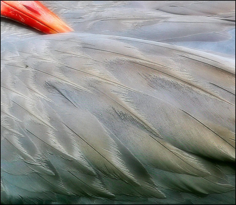 Photography by Juicer for DesignCrowd (Community Contests) | Design #9024255