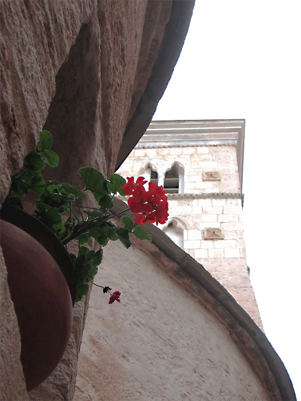 Fotografie von Firenzesca für DesignCrowd (Community Contests) | Design #9020852