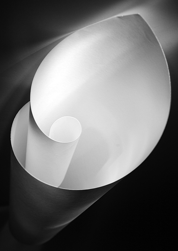 Fotografie von SigloV für DesignCrowd (Community Contests) | Design #9025188