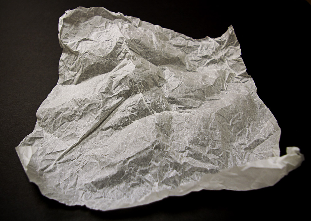 Photography by GoldenWreckedAngle for DesignCrowd (Community Contests) | Design #9025195