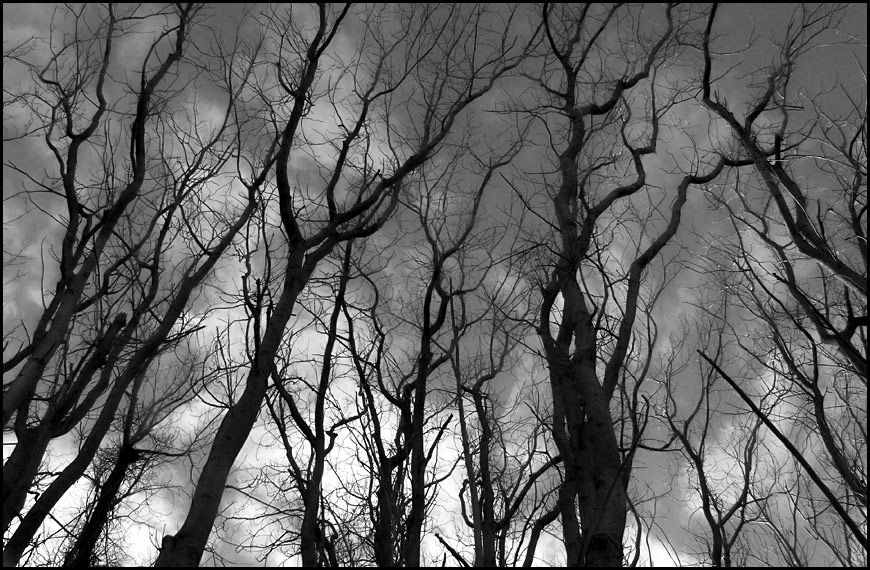 Photography by Wellbeyond for DesignCrowd (Community Contests) | Design #9020837