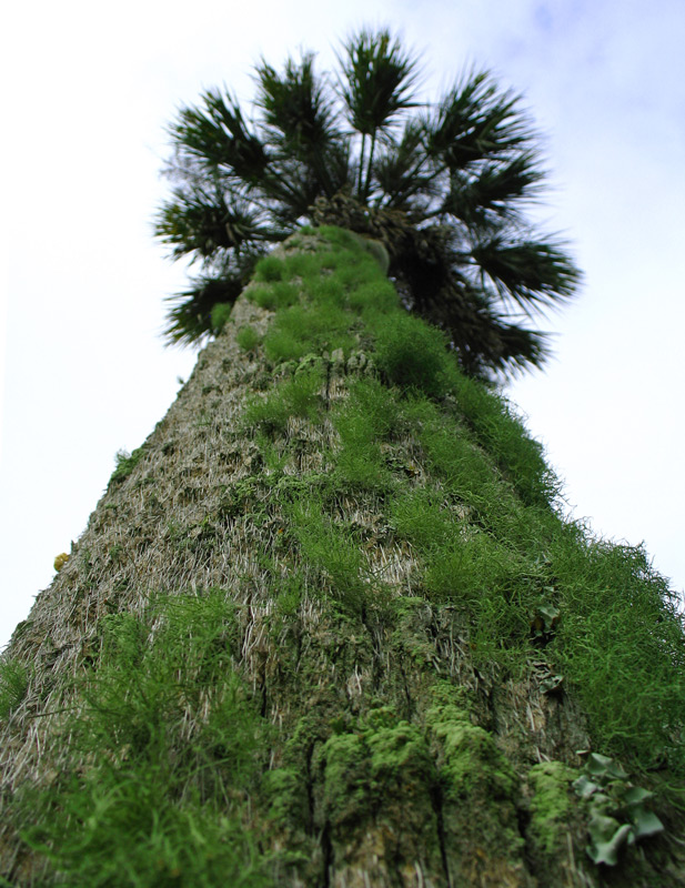 Photography by jersalv1 for DesignCrowd (Community Contests) | Design #9020835