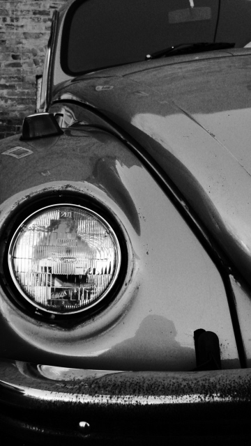 Photography by bennyandthemets for DesignCrowd (Community Contests) | Design #9021460