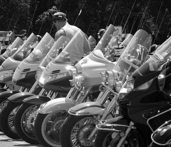 Photography by robinsphotos for DesignCrowd (Community Contests) | Design #9021506