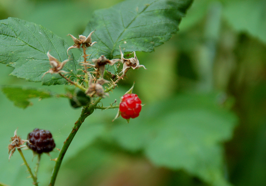 Photography by u2one1 for DesignCrowd (Community Contests) | Design #9024278