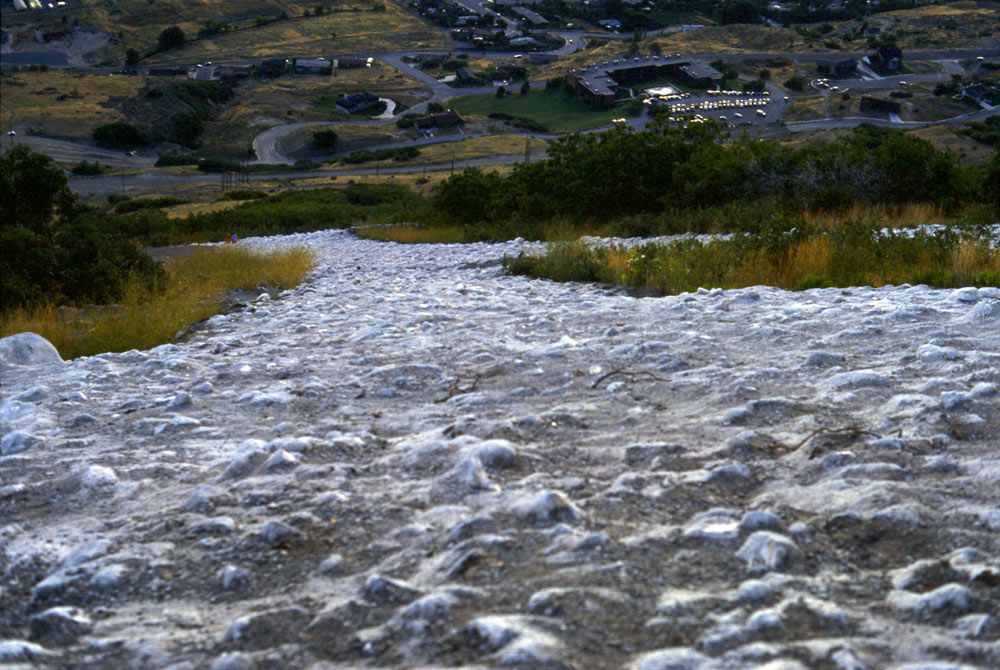 Photographie par drdonallen pour DesignCrowd (Community Contests) | Design #9020911