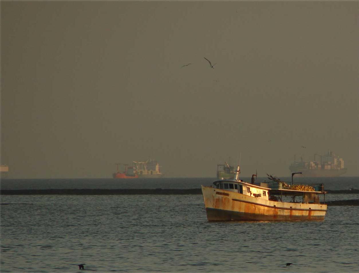 Fotografie von sebasfournier für DesignCrowd (Community Contests) | Design #9024398