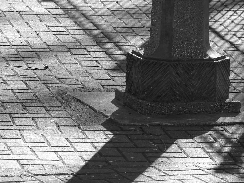 Fotografie von sebasfournier für DesignCrowd (Community Contests) | Design #9023581