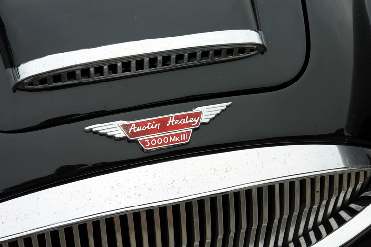 Photography by ljvgtj for DesignCrowd (Community Contests) | Design #9024405