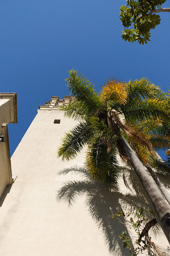 Photography by georgethedog for DesignCrowd (Community Contests) | Design #9020894