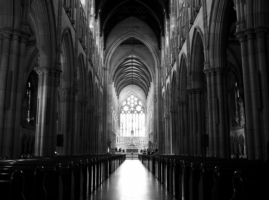 Fotografie von cpatrick für DesignCrowd (Community Contests) | Design #9023640