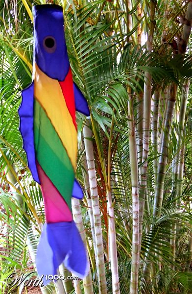 Photography by EyEars