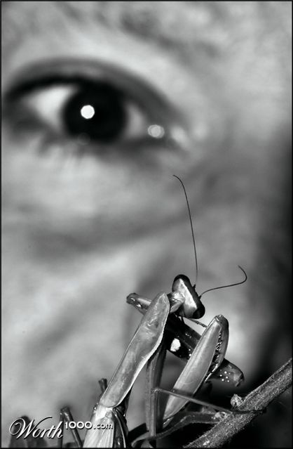Photography by sfera01
