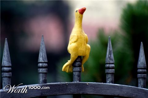 Photography by majkus