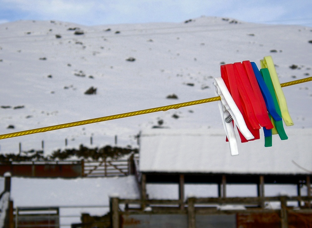 Photographie par Massie pour DesignCrowd (Community Contests) | Design #9024379