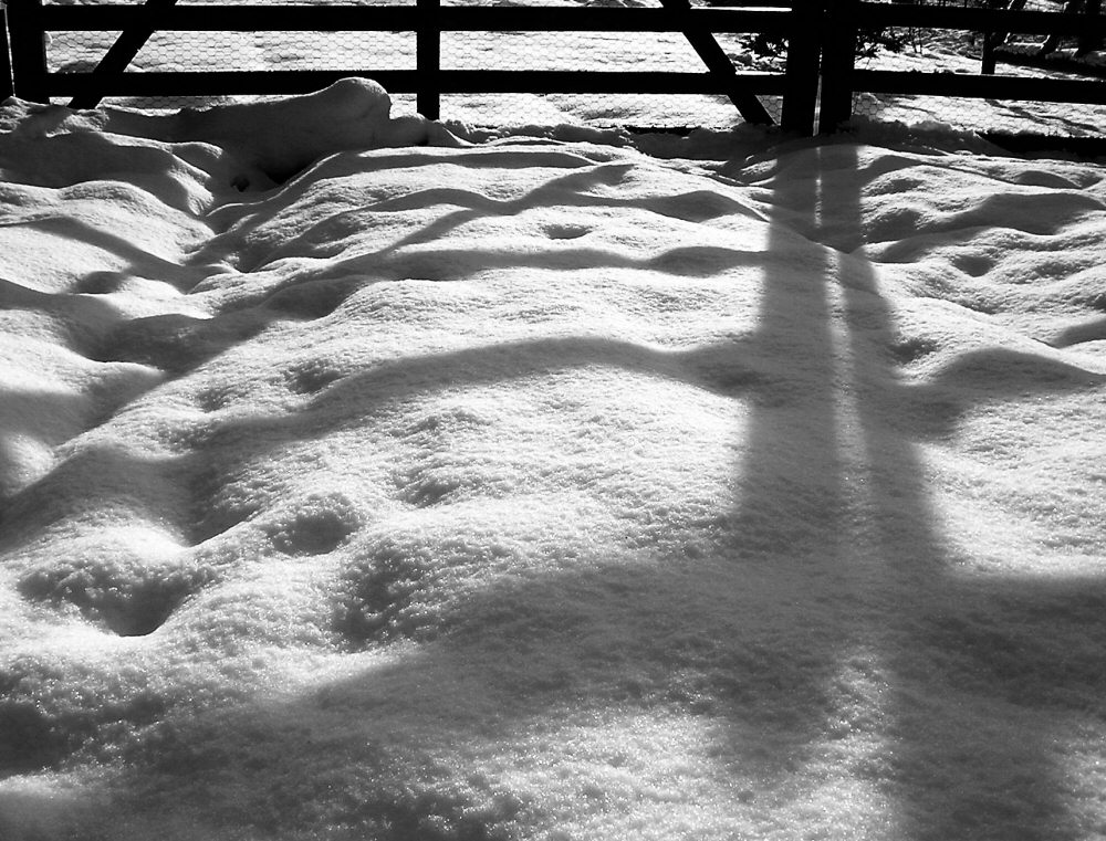 Photographie par Massie pour DesignCrowd (Community Contests) | Design #9023617