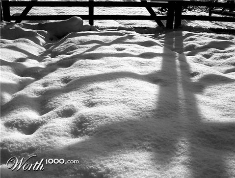 Photography by Massie