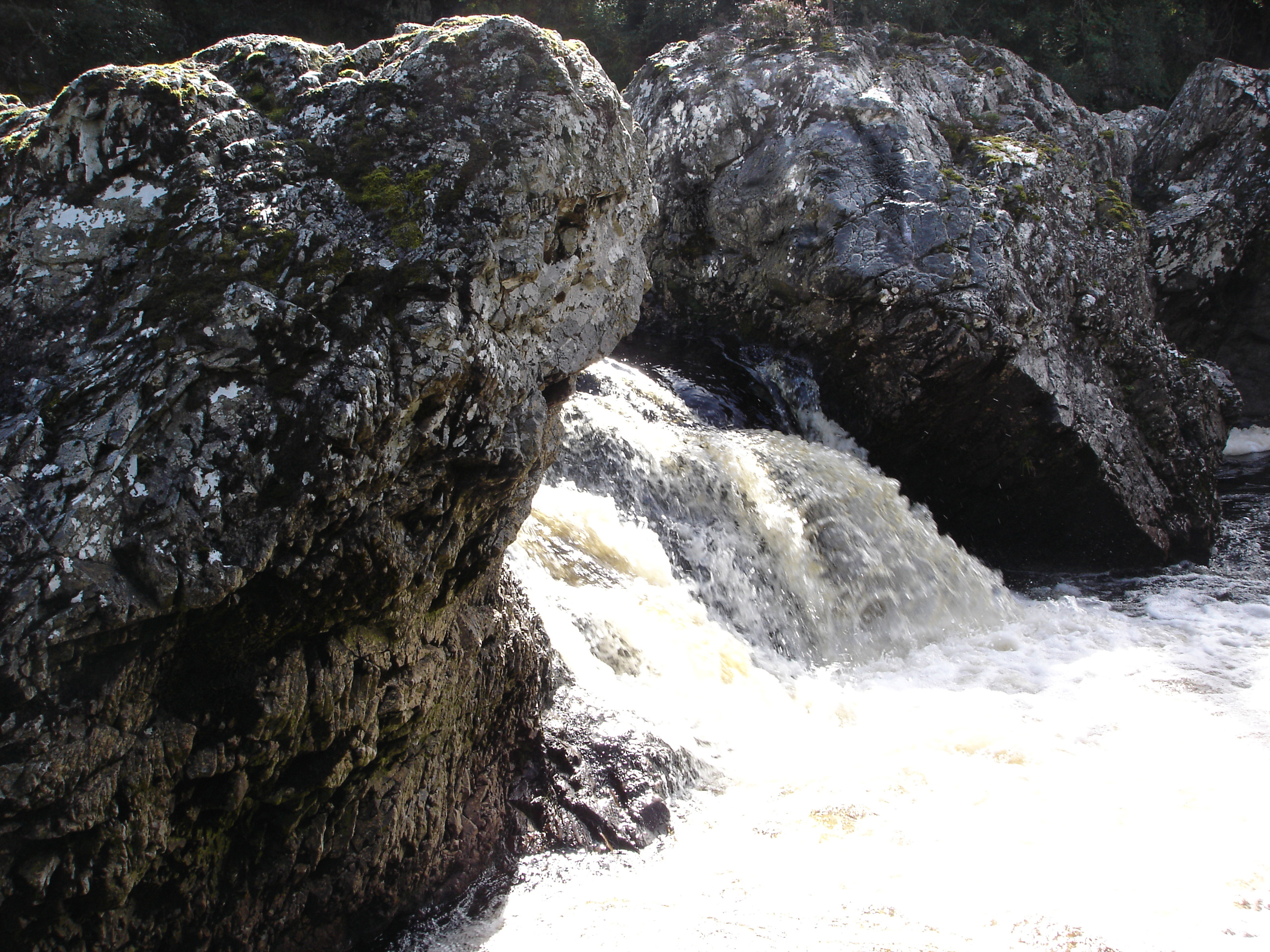 Diseño de Photoshop por neehen para DesignCrowd (Community Contests) | Diseño #9025378