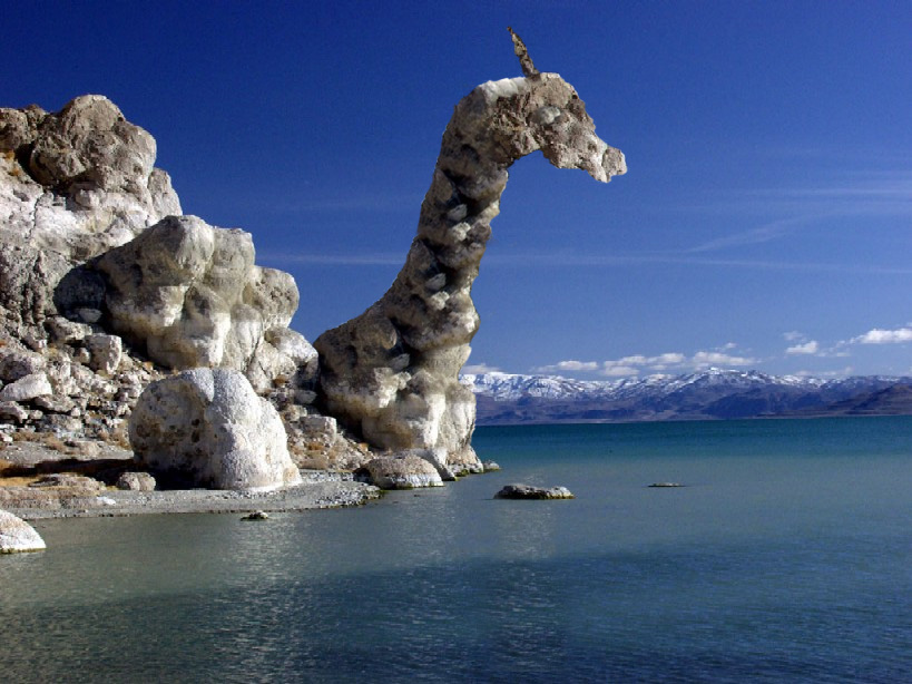 Photoshop-Design von xd3333 für DesignCrowd (Community Contests) | Design #9025375