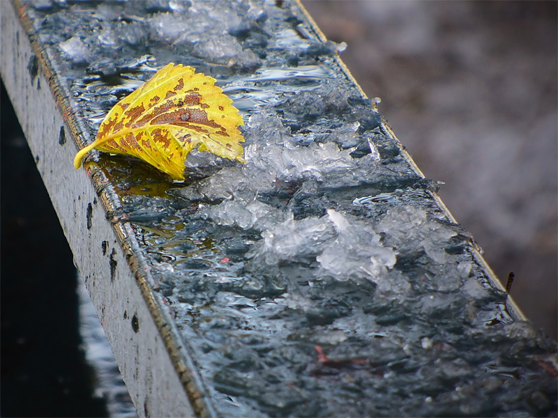 Fotografie von IsleofJura für DesignCrowd (Community Contests) | Design #9024389