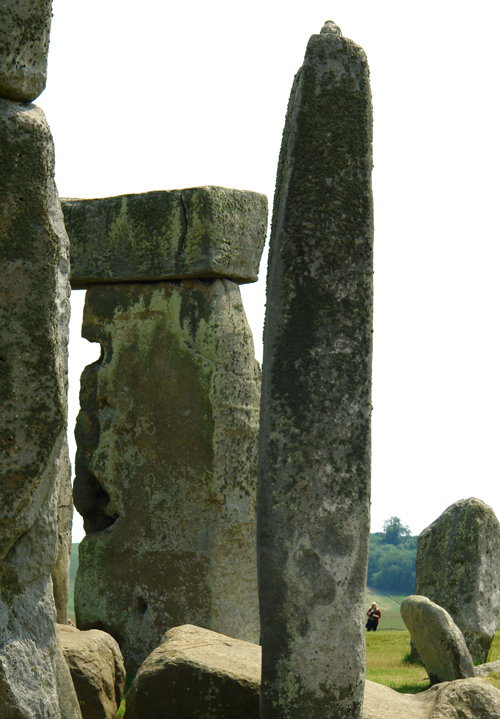 Photography by ljvgtj for DesignCrowd (Community Contests) | Design #9023779